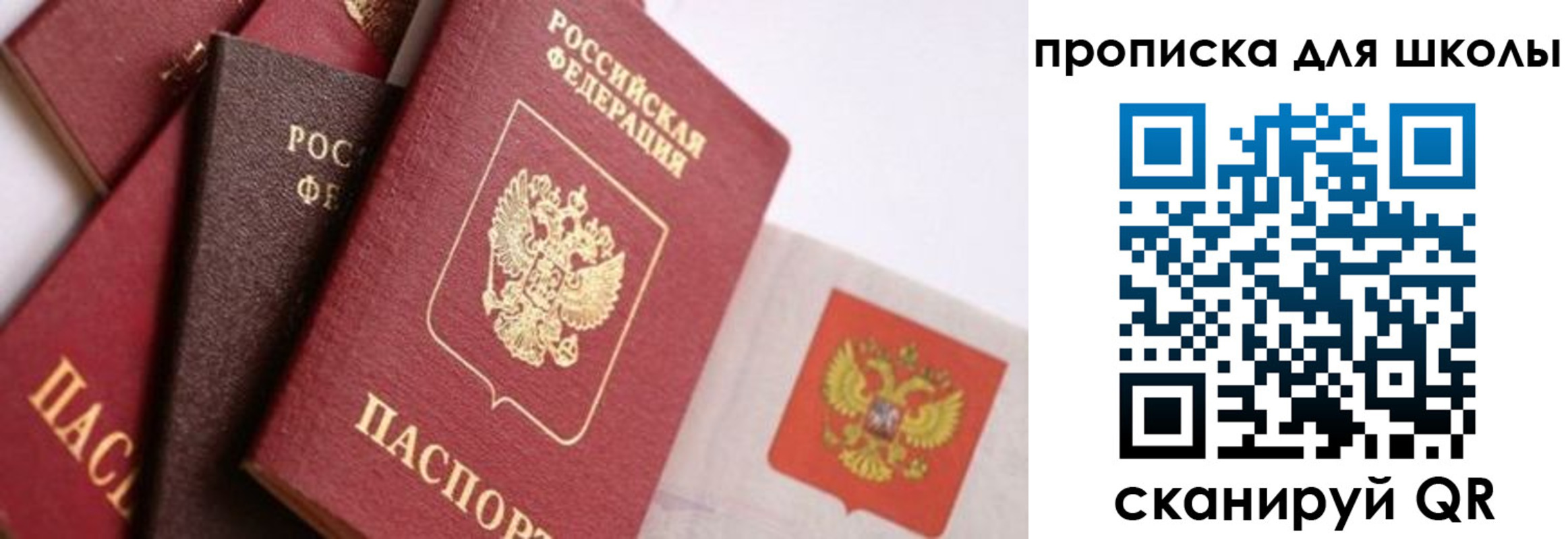 прописка поиск в Немане